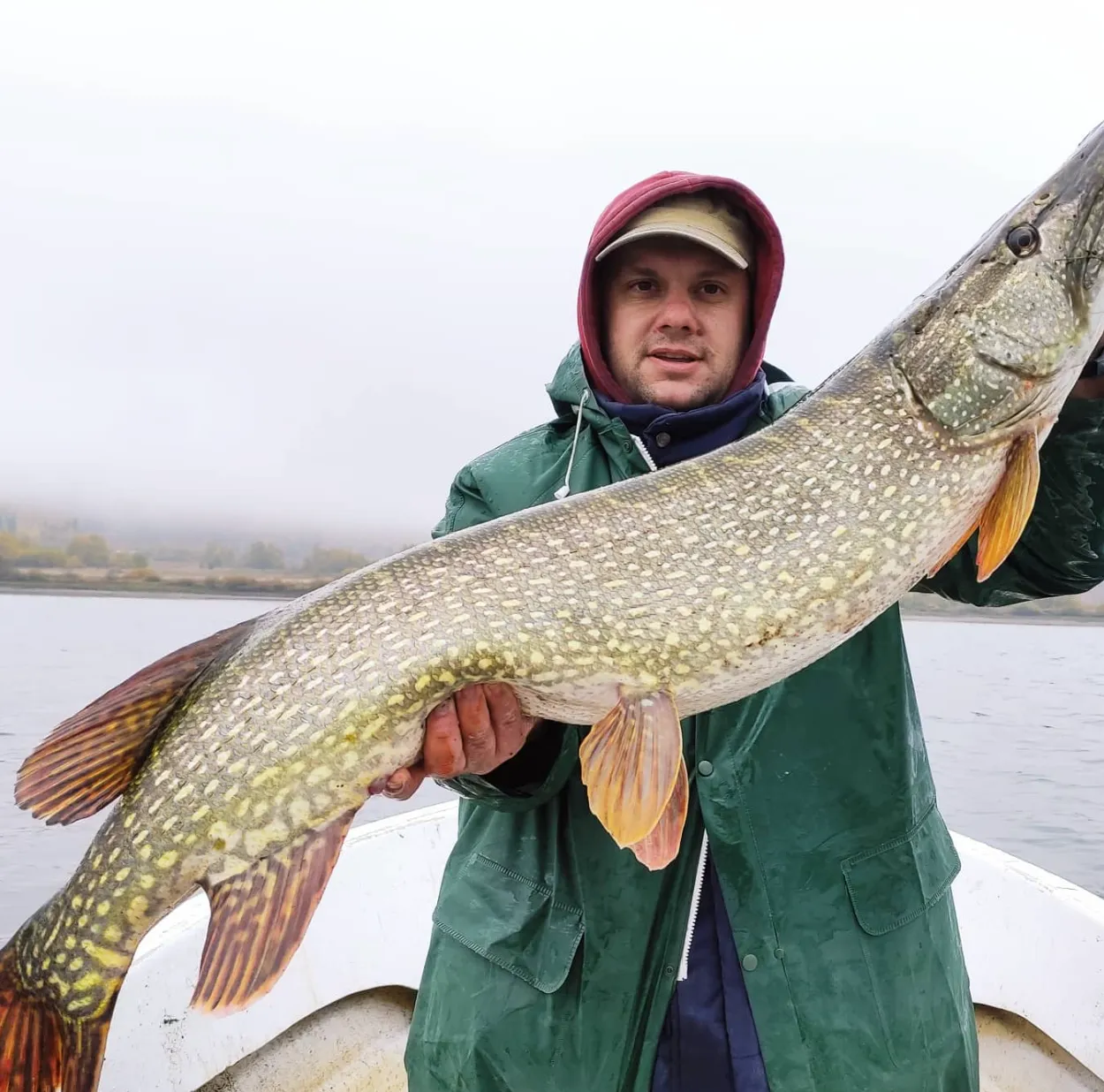 Large pike caught from a boat on a misty lake